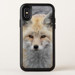 Red Fox Photo OtterBox Symmetry iPhone X Case