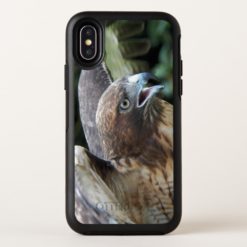 Red-tailed Hawk Photo OtterBox Symmetry iPhone X Case