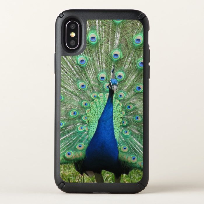 Speck Phone Case  Proud Peacock