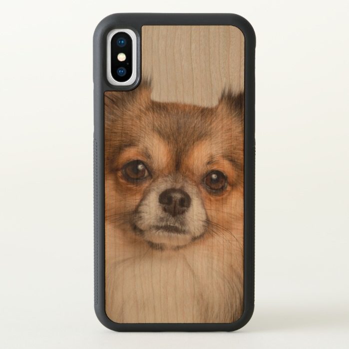 Stunning chihuahua portrait iPhone x Case