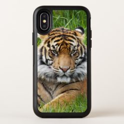 Sumatran Tiger Photo OtterBox Symmetry iPhone X Case