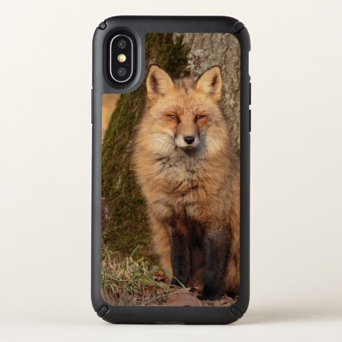 iPhone X CaseSitting Fox Speck iPhone X Case
